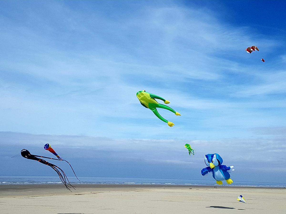 Les Coquillages, 2 Salles De Bains, Tout A Pied Berck المظهر الخارجي الصورة